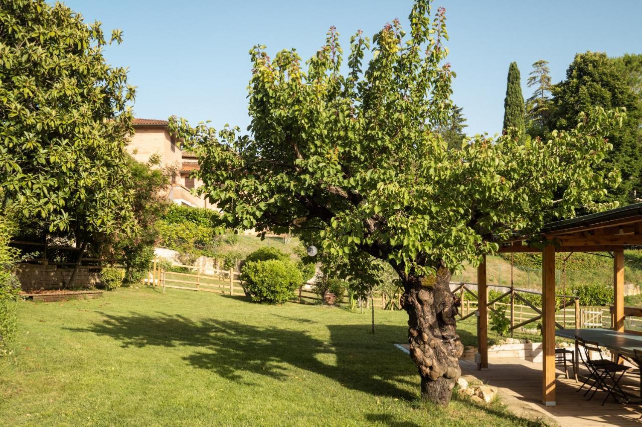 Toscana Da Sogno A Villa Allegria Siena Exterior foto