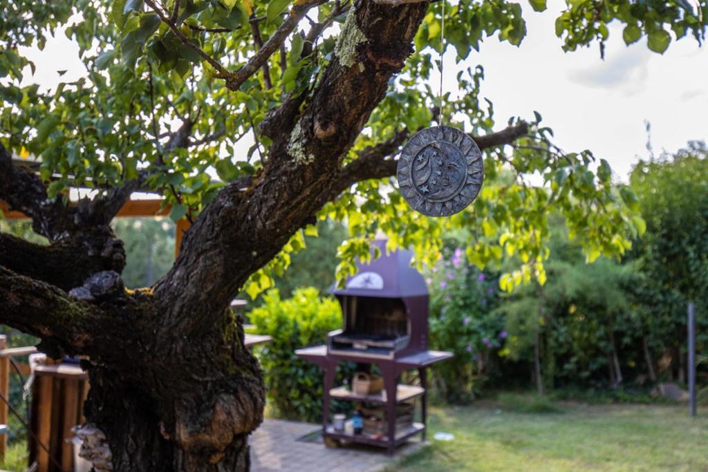 Toscana Da Sogno A Villa Allegria Siena Exterior foto
